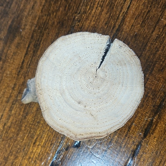 Hand-Painted Wooden Ornament with Skeleton Design - Picture 2 of 3